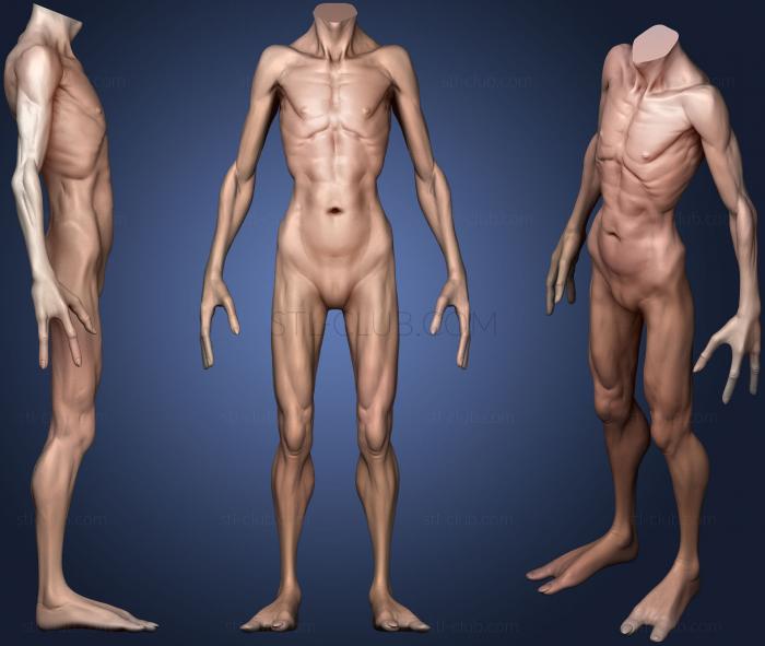 3D model Body Sculpt 6 (STL)